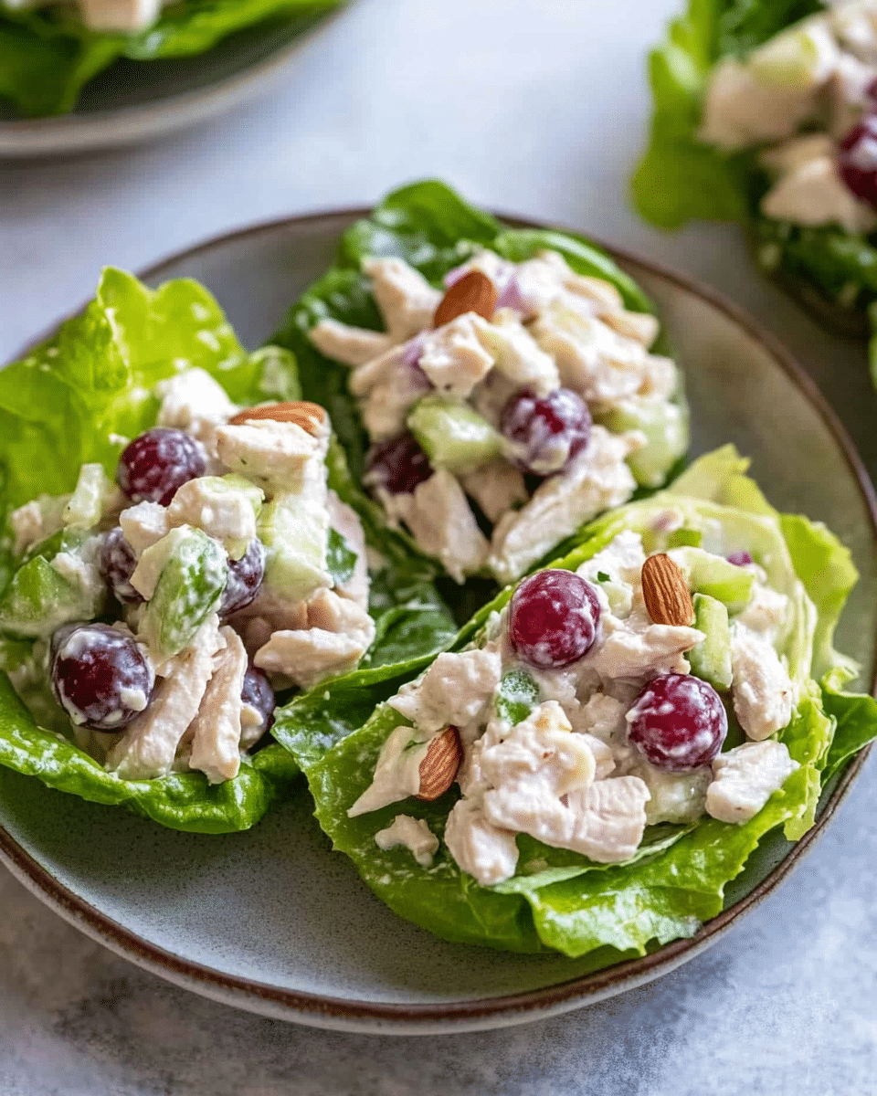 Greek Yogurt Chicken Salad Lettuce Wraps